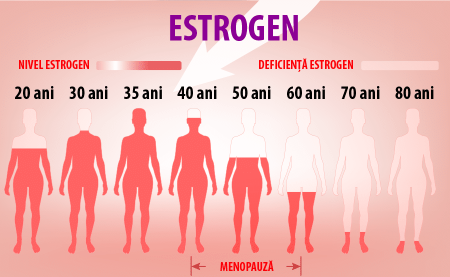 estrogenul slabeste greutatea ajută la pierderea grăsimii burta